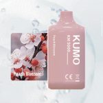 Peach Blossom (5000 puffs)