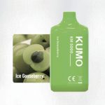 Ice Gooseberry (5000 Puffs)