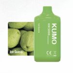 Ice Guava (5000 Puffs)