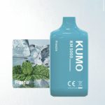 Ice Freezie Mint (5000 Puffs)