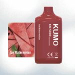 Ice Watermelon (5000 Puffs)