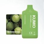 Ice Green Grape (5000 Puffs)