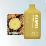 Ice Pineapple (5000 Puffs)