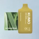 Ice Lemon Grass (5000 Puffs)